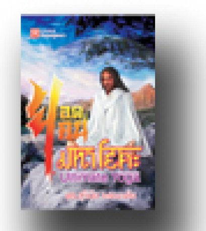 ยอดคน มหาโยคะ