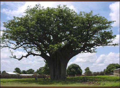 (47) วิกฤตพลังงานกับวิชันพรรคการเมืองใหม่ (ก.ม.ม.) (ต่อ) (22/2/54)