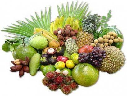 แนวทางการเสริมสร้างระบบภูมิชีวิตอย่างบูรณาการ เพื่อป้องกันโรคมะเร็ง โรคหัวใจ และโรคร้ายแรงอื่นๆ (14) (30/8/2554)