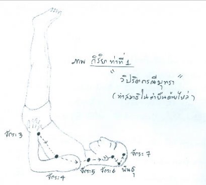 แนวทางการเสริมสร้างสุขภาพอย่างบูรณาการ เพื่อการชะลอวัยและการมีอายุยืนถึงร้อยปี หรือกว่านั้น (64) (11/6/2556)
