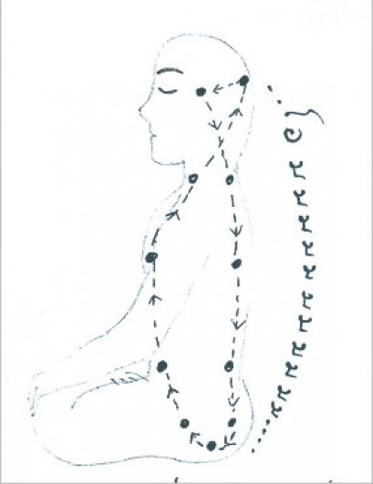 แนวทางการเสริมสร้างสุขภาพอย่างบูรณาการ เพื่อการชะลอวัยและการมีอายุยืนถึงร้อยปี หรือกว่านั้น (65) (18/6/2556)