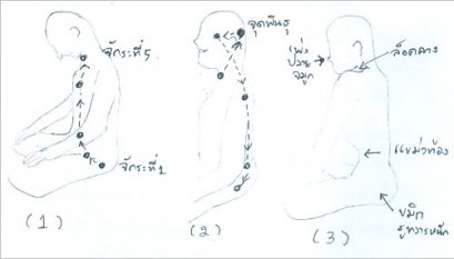 แนวทางการเสริมสร้างสุขภาพอย่างบูรณาการ เพื่อการชะลอวัยและการมีอายุยืนถึงร้อยปี หรือกว่านั้น (67) (2/7/2556)