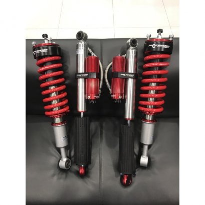 Queen Series + Piggy Back