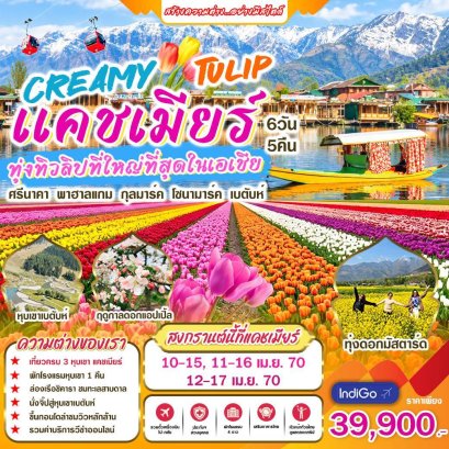 ทัวร์อินเดีย: Creamy tulip แคชเมียร์ 6 วัน 5 คืน (6E)