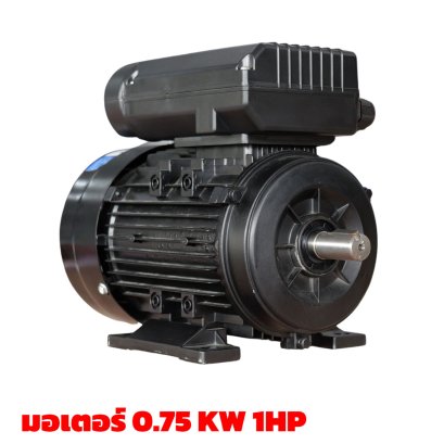มอเตอร์ 0.75kW/ 1 HP/RPM 1400/220V./ขดลวดทองแดงแท้