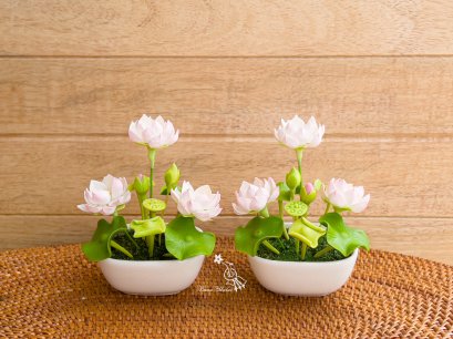 แจกันบัวจิ๋ว (ดอกบัวมี 5 สี)