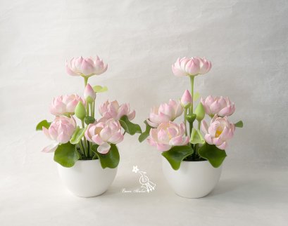 แจกันบัว (ดอกบัวมี 5 สี)