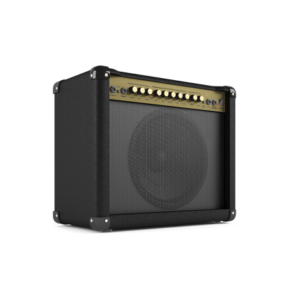 Electric Guitar Amplifie