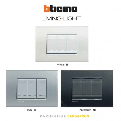 Living light-Black-white-silver