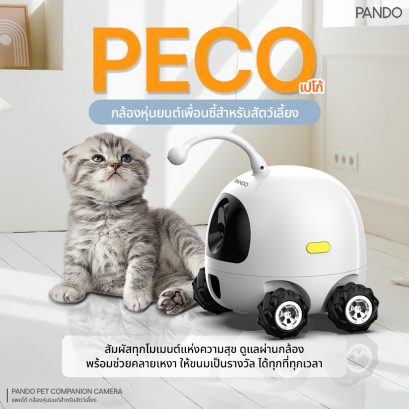 Pando Pet Companion Camera