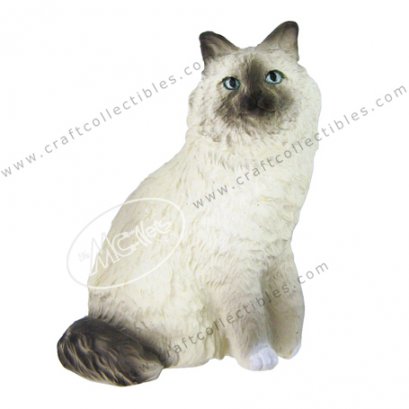 Birman
