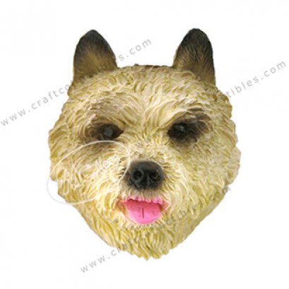 Norwich Terrier