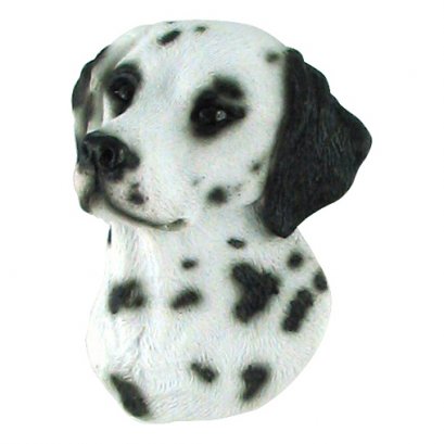 Dalmatian