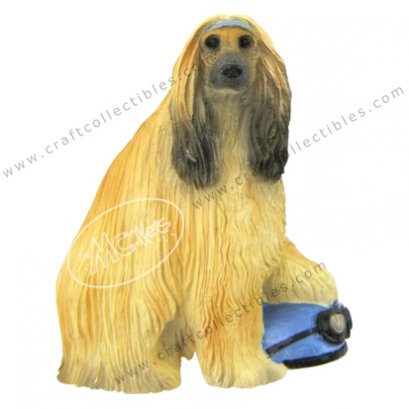 Afghan Hound