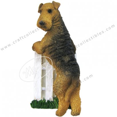 Airedale