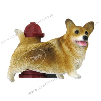 Welsh Corgi