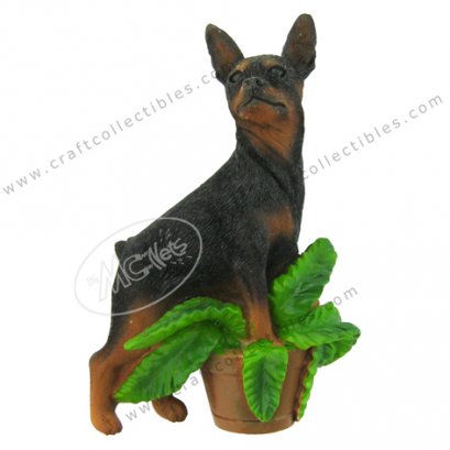 Miniature Pinscher