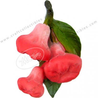 Rose Apple(bunch)