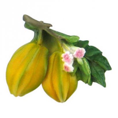 Starfruit (bunch)