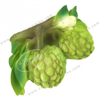 Custard Apple (bunch)