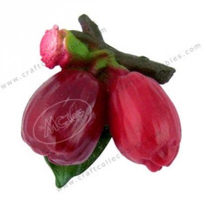 Rose Apple (bunch)