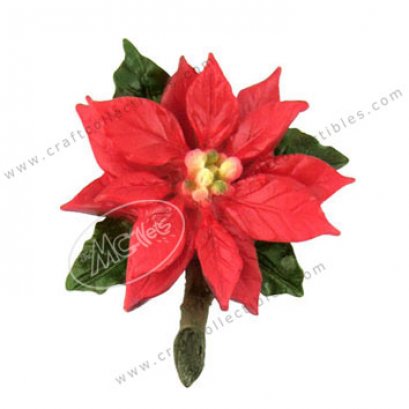 Poinsettia