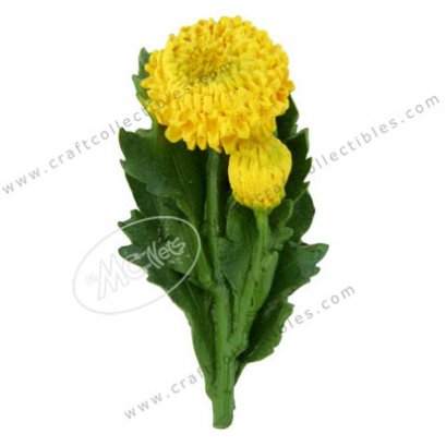 Chrysanthemum