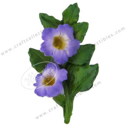 Thunbergia erecta