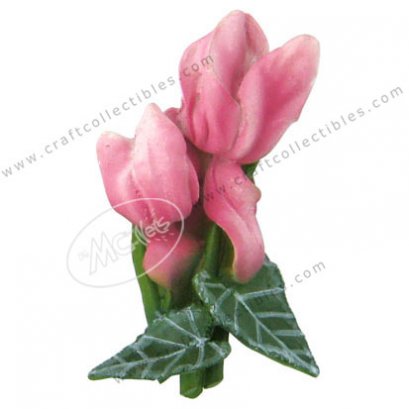 Cyclamen
