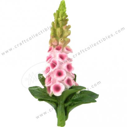 Foxglove