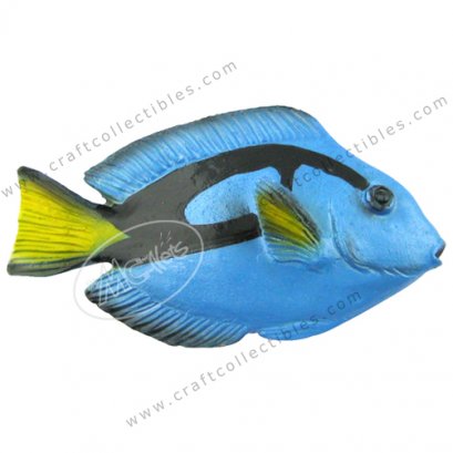 Palette Surgeonfish