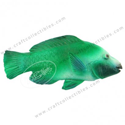Parrotfish