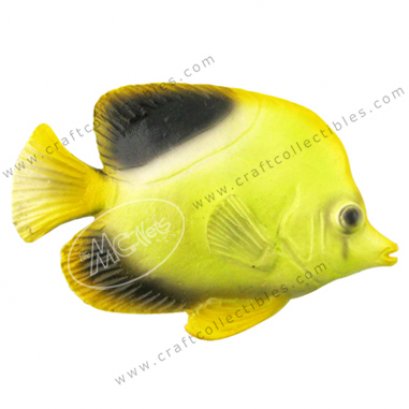 Saddleback Butterflyfish