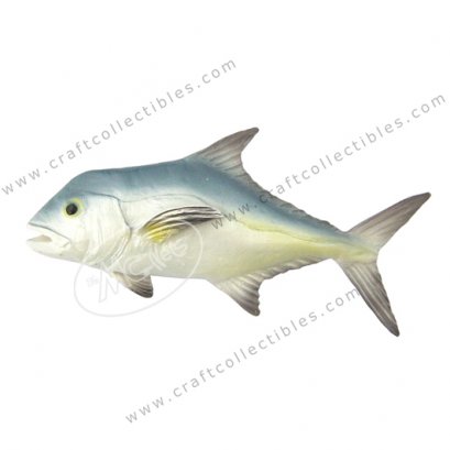 African Pompano
