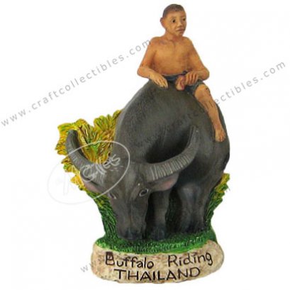 Buffalo Riding