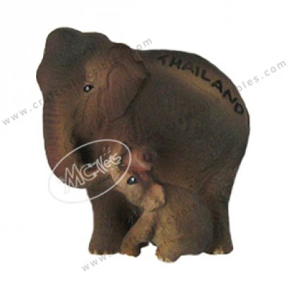 Mom and baby Elephant