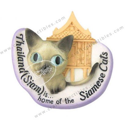 Siamese cat