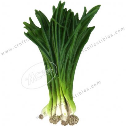 Spring Onion