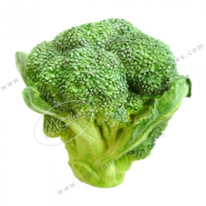Broccoli