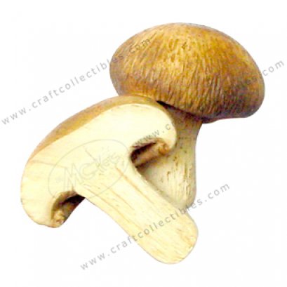 Shiitake Mushroom