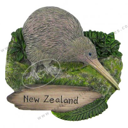 Kiwi, New Zealand