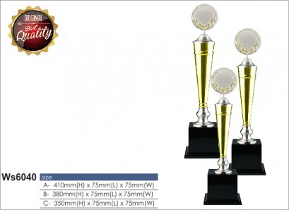 ถ้วยรางวัล ซิลเวอร์ Ws6040