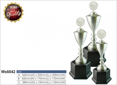 ถ้วยรางวัล ซิลเวอร์ Ws6042