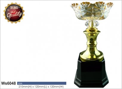 ถ้วยรางวัล ซิลเวอร์ Ws6048
