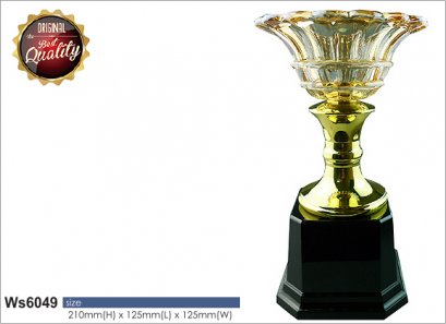 ถ้วยรางวัล ซิลเวอร์ Ws6049