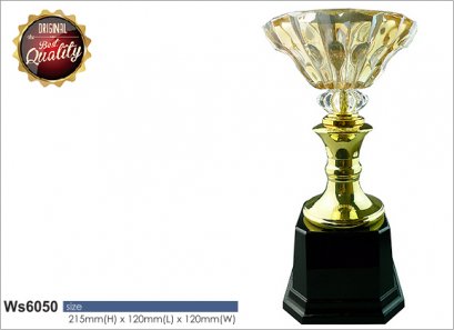 ถ้วยรางวัล ซิลเวอร์ Ws6050