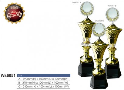 ถ้วยรางวัล ซิลเวอร์ Ws6051