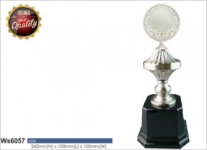 ถ้วยรางวัลซิลเวอร์ รหัส Ws6057