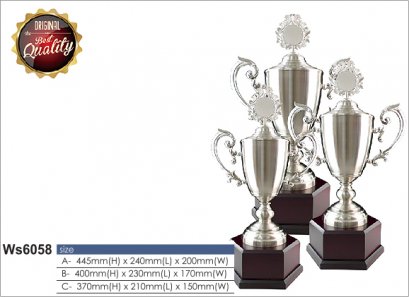 ถ้วยรางวัล ซิลเวอร์ Ws6058
