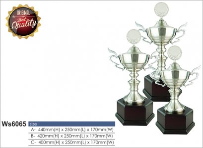 ถ้วยรางวัล ซิลเวอร์ Ws6065